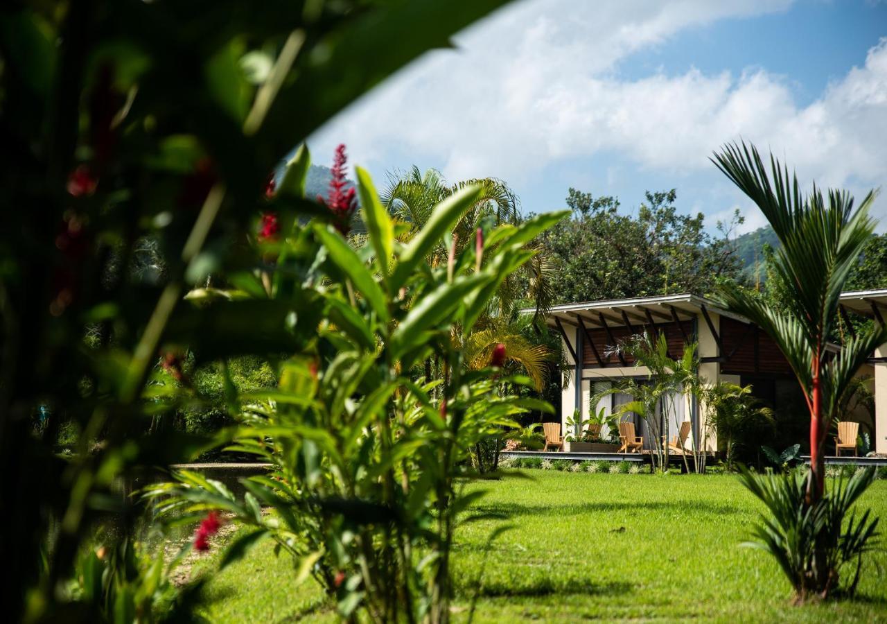 Hotel Gardenia Springs à Buritaca Extérieur photo